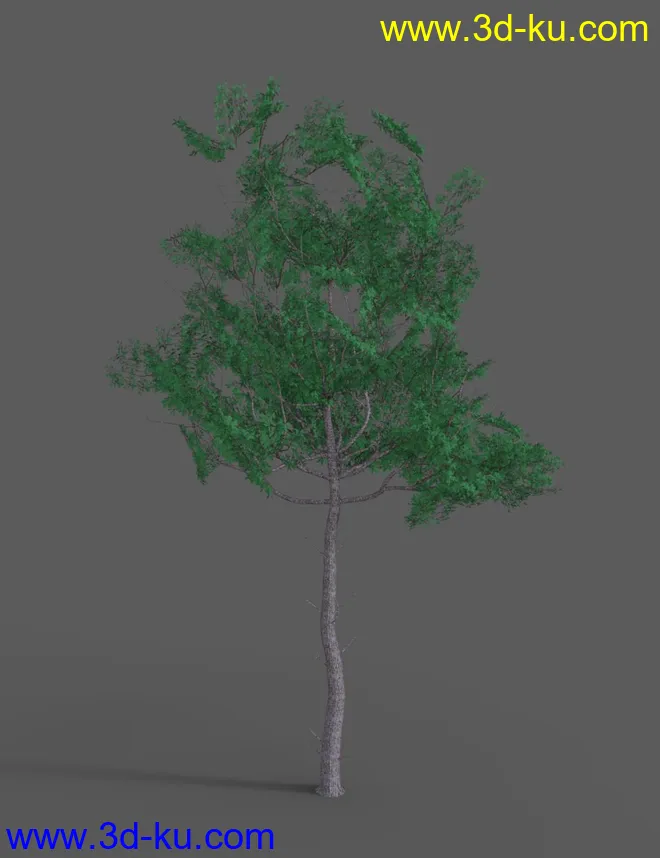 Southeast Asian Village模型的图片11