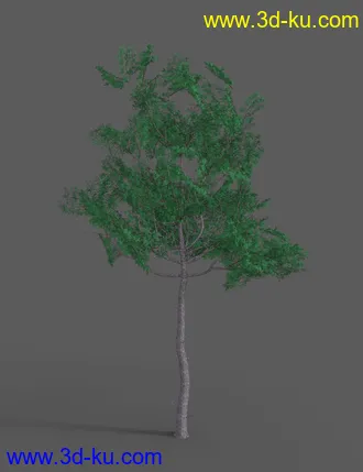 3D打印模型Southeast Asian Village的图片