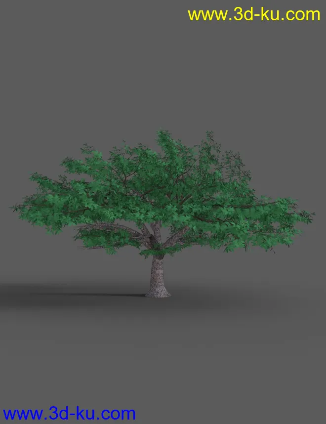 Southeast Asian Village模型的图片12