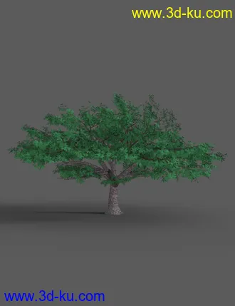 3D打印模型Southeast Asian Village的图片