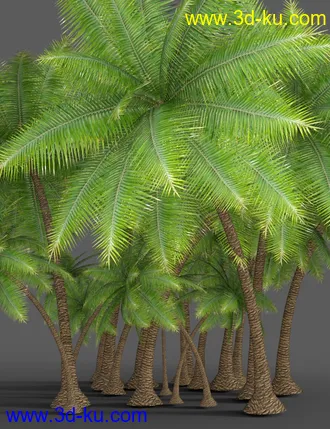 3D打印模型Southeast Asian Village的图片