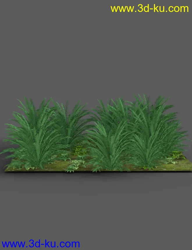 Southeast Asian Village模型的图片18