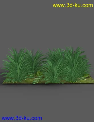 3D打印模型Southeast Asian Village的图片