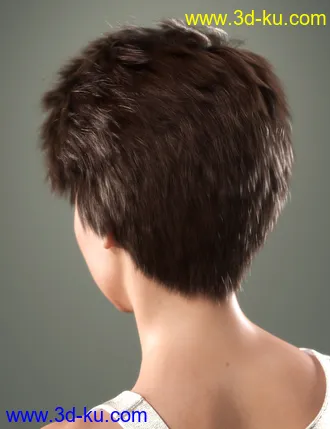 3D打印模型SP Hair 012 for Genesis 3 and 8 Female(s)的图片