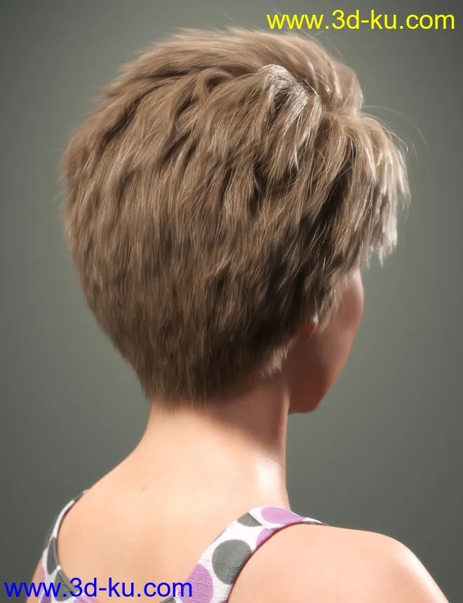 SP Hair 012 for Genesis 3 and 8 Female(s)模型的图片6