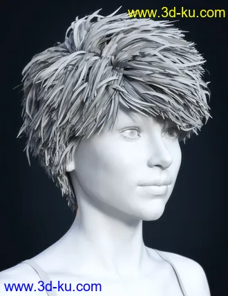 3D打印模型SP Hair 012 for Genesis 3 and 8 Female(s)的图片