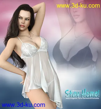 3D打印模型Stay Home Lingerie Set for Genesis 8 Females的图片