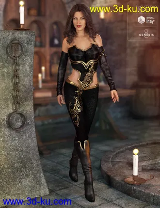 3D打印模型Storm Chaser Outfit for Genesis 8 Female(s)的图片