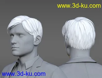 3D打印模型Strictly Business Hair for Genesis 8 Male的图片