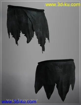 3D打印模型Swamp Loincloth for Genesis 8 Male(s)的图片