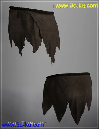 3D打印模型Swamp Loincloth for Genesis 8 Male(s)的图片