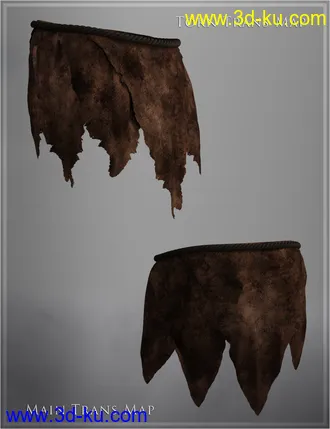 3D打印模型Swamp Loincloth for Genesis 8 Male(s)的图片