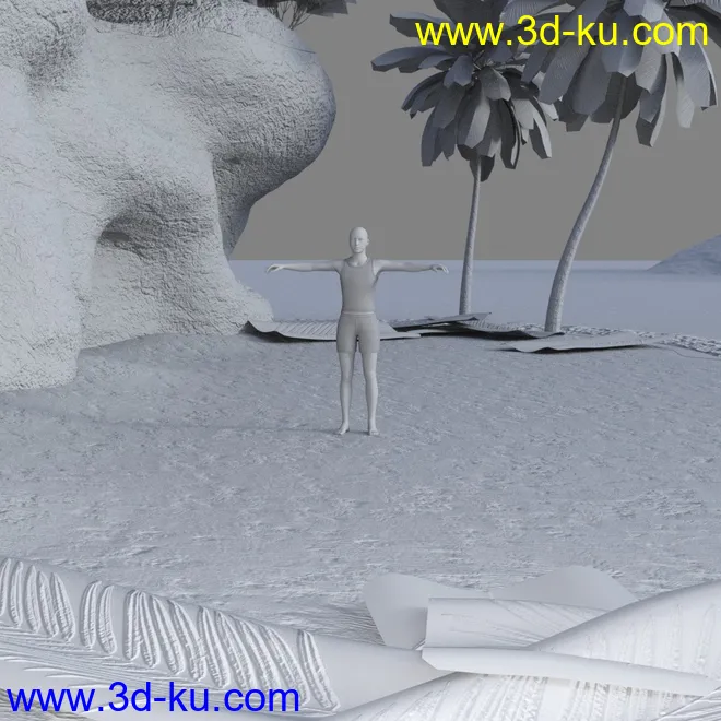 The Beach模型的图片10