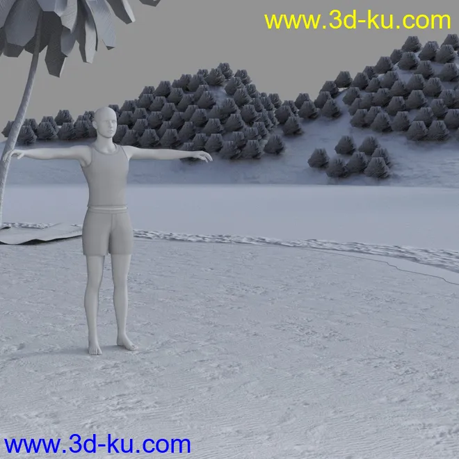 The Beach模型的图片11