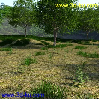 3D打印模型The Beautiful Lake的图片