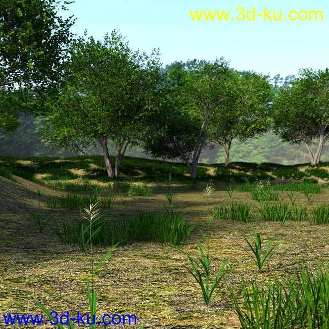 The Beautiful Lake模型的图片7