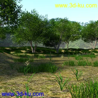 3D打印模型The Beautiful Lake的图片