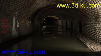 3D打印模型The Drain的图片