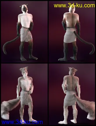 3D打印模型Tomcat For Genesis 8 Male的图片