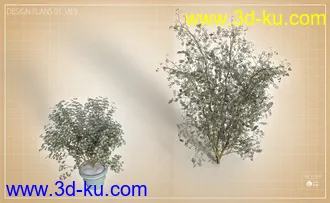 Tranquil Private Pool模型的图片16