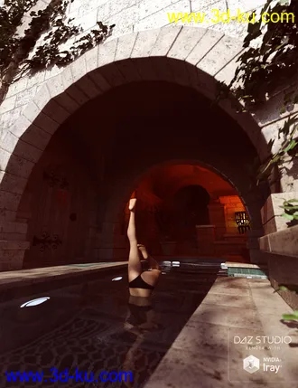 3D打印模型Tranquil Private Pool的图片