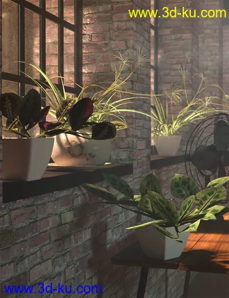 3D打印模型Tropical Plants Vol 4 - House Plants的图片