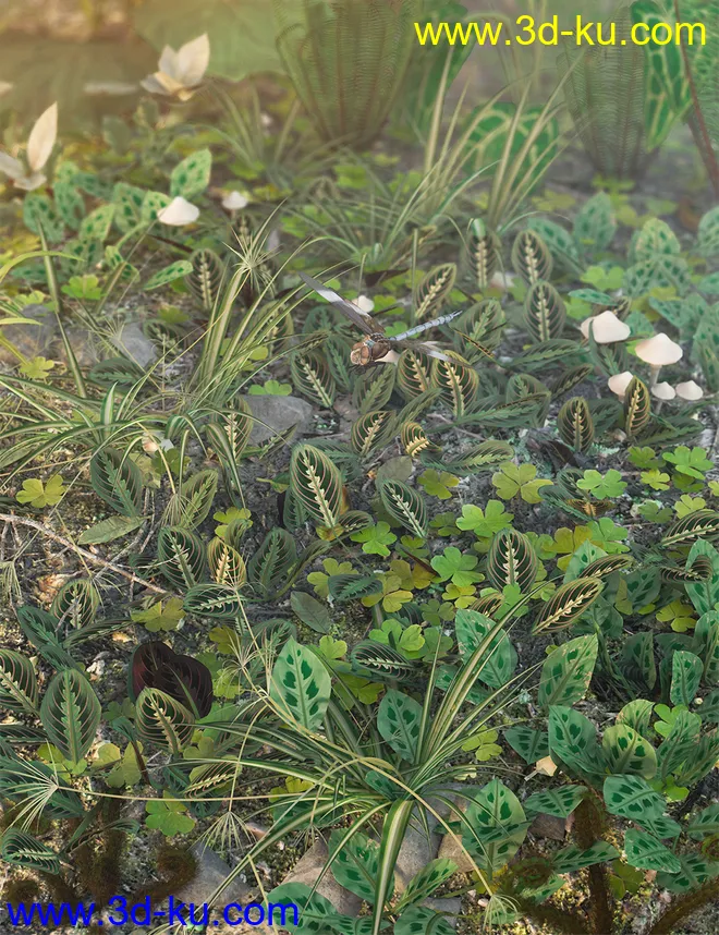 Tropical Plants Vol 4 - House Plants模型的图片2