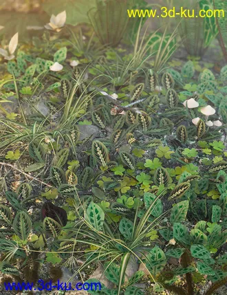 3D打印模型Tropical Plants Vol 4 - House Plants的图片