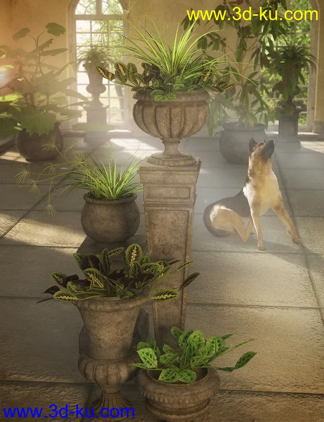 Tropical Plants Vol 4 - House Plants模型的图片3