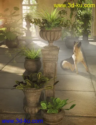 3D打印模型Tropical Plants Vol 4 - House Plants的图片