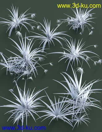 3D打印模型Tropical Plants Vol 4 - House Plants的图片