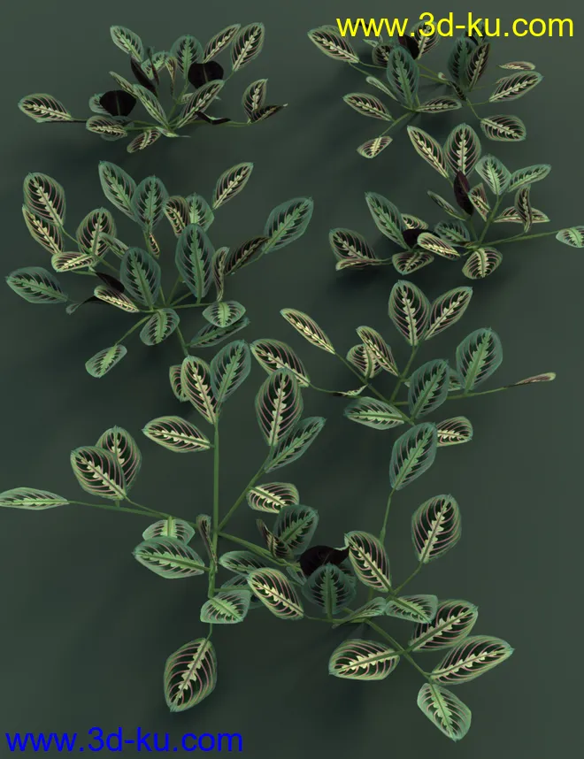 Tropical Plants Vol 4 - House Plants模型的图片6