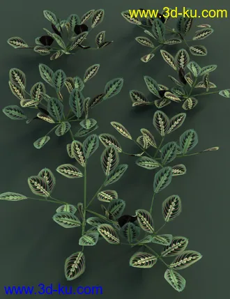 3D打印模型Tropical Plants Vol 4 - House Plants的图片