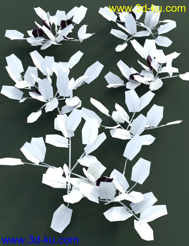 Tropical Plants Vol 4 - House Plants模型的图片7