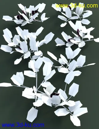 3D打印模型Tropical Plants Vol 4 - House Plants的图片