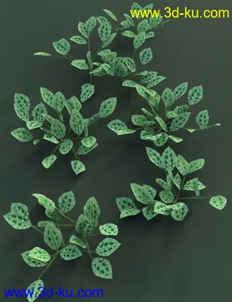 3D打印模型Tropical Plants Vol 4 - House Plants的图片