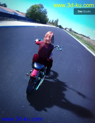 3D打印模型UltraHD Iray HDRI With DOF - The Road的图片