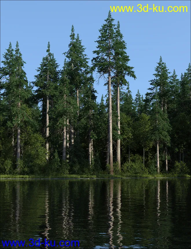 UltraScenery - Pines模型的图片4