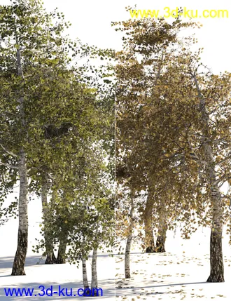 3D打印模型v176 Iray Birch Trees的图片
