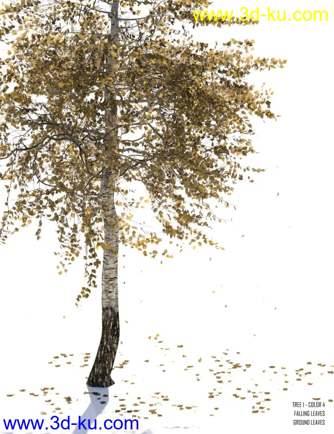 v176 Iray Birch Trees模型的图片2