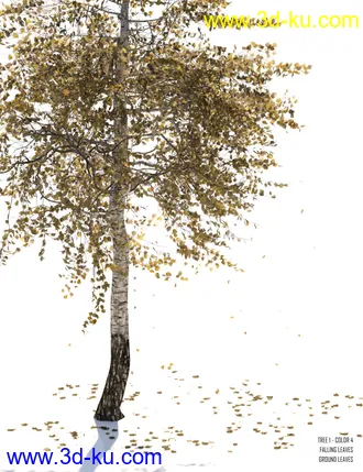 3D打印模型v176 Iray Birch Trees的图片