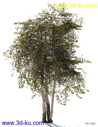 3D打印模型v176 Iray Birch Trees的图片