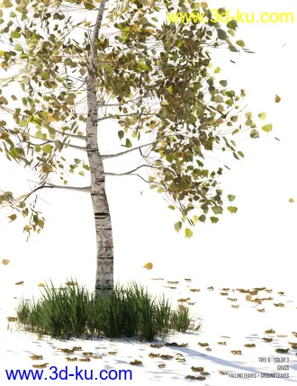 3D打印模型v176 Iray Birch Trees的图片