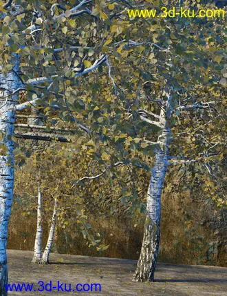 3D打印模型v176 Iray Birch Trees的图片