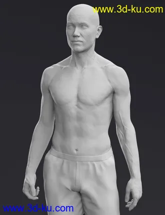 3D打印模型Valentino 8 HD Add-On的图片