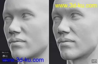 3D打印模型Valentino 8 HD Add-On的图片