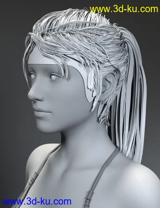 3D打印模型Variable Hair for Genesis 8 Female(s)的图片