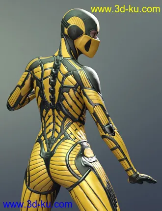 3D打印模型Vitruvian Exosuit for Genesis 8 Female(s)的图片