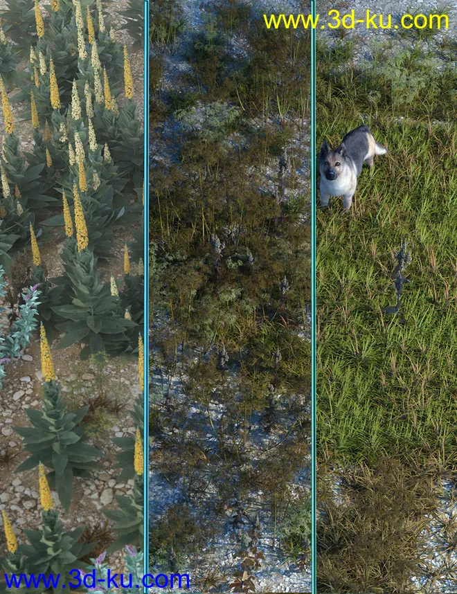 Wasteland Plants and Weeds - Low Resolution Instant Ecosystems模型的图片1