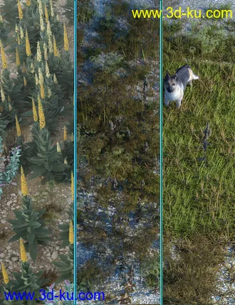 3D打印模型Wasteland Plants and Weeds - Low Resolution Instant Ecosystems的图片